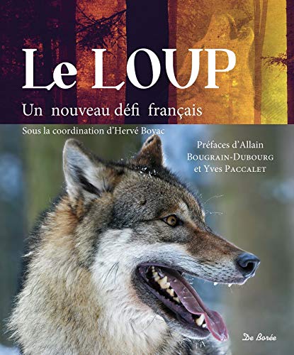 Loup (Le)