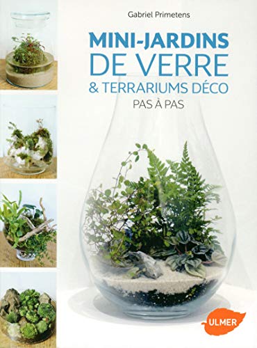 Mini-jardins de verre & terrariums déco